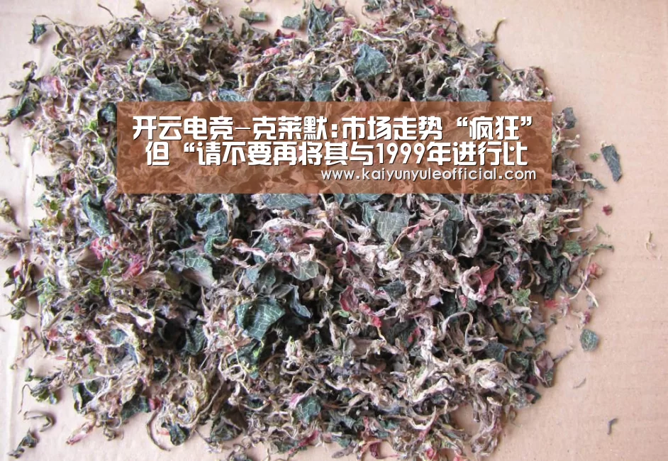 开云电竞-克莱默:市场走势“疯狂” 但“请不要再将其与1999年进行比较”