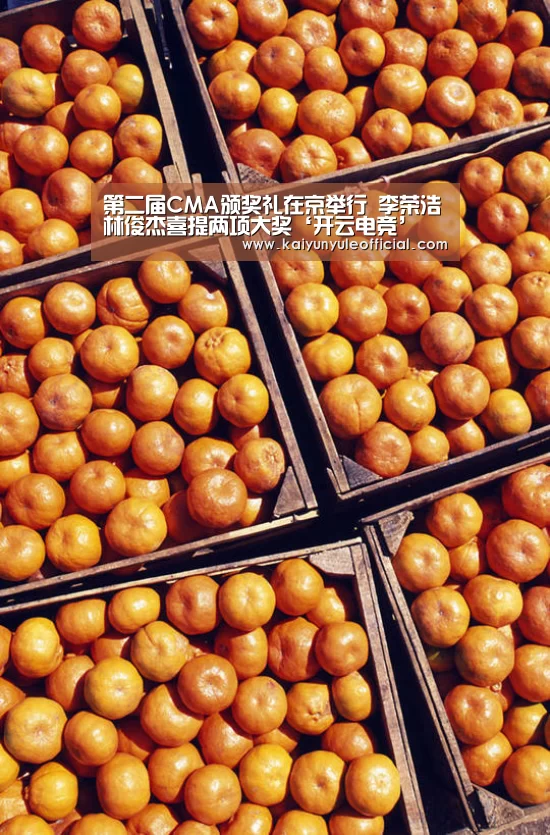 开云电竞