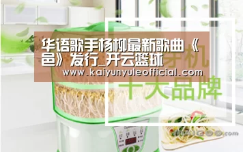 开云足球