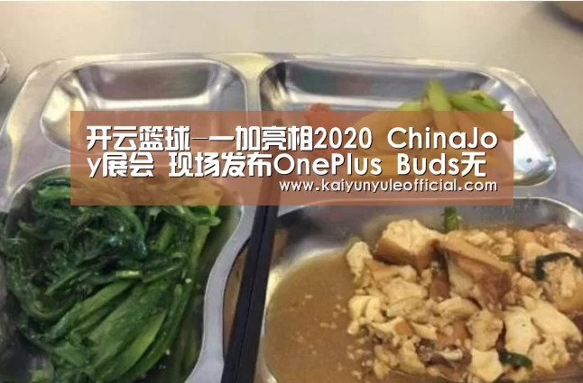 开云篮球-一加亮相2020 ChinaJoy展会 现场发布OnePlus Buds无线耳机